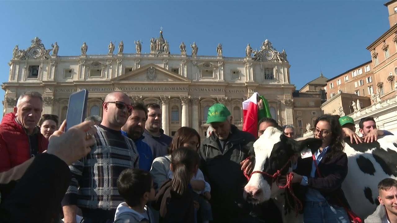 Em protesto, agricultores levam vaca ao Vaticano | AFP