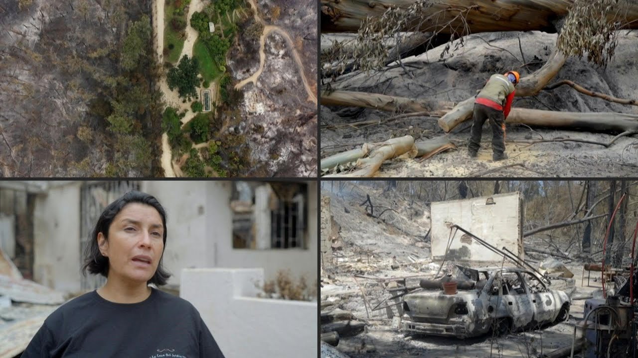 Maior jardim botânico do Chile é devastado por incêndios florestais | AFP
