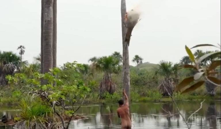 Bushcraft, a arte de sobreviver no mato à moda primitiva – 21/03/2024 – É Logo Ali