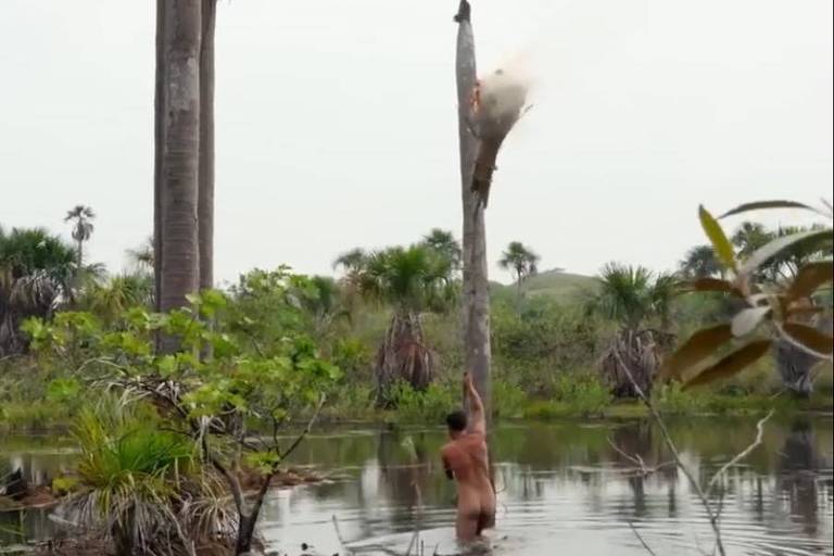 Bushcraft, a arte de sobreviver no mato à moda primitiva – 21/03/2024 – É Logo Ali