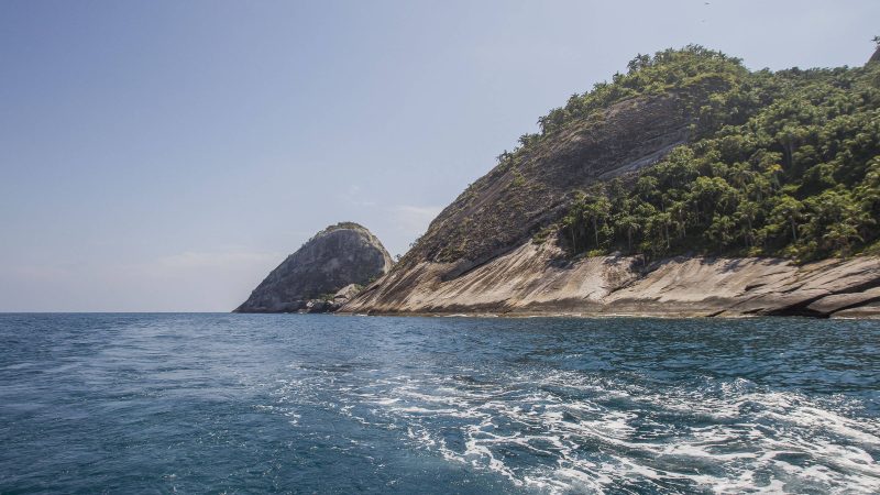 Mergulhadores avistam mais de 40 tubarões em Alcatrazes – 22/03/2024 – Turismo