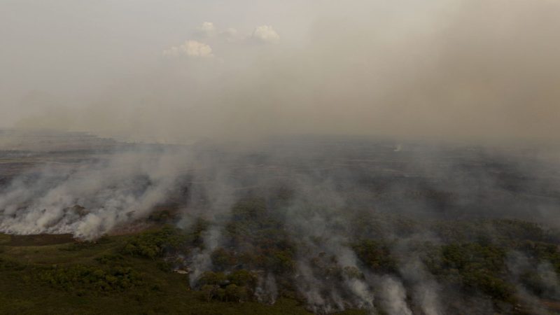 PL que muda Código Florestal vai desproteger 48 milhões de hectares