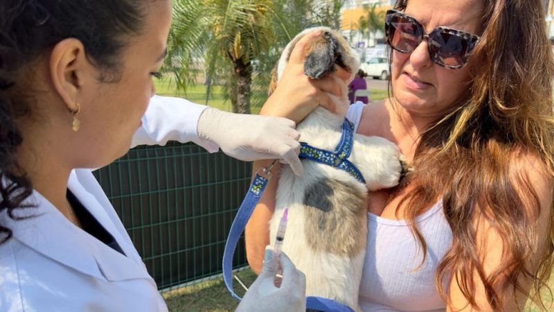 Secretaria de Sade vacina ces e gatos contra raiva neste sbado em Indaiatuba