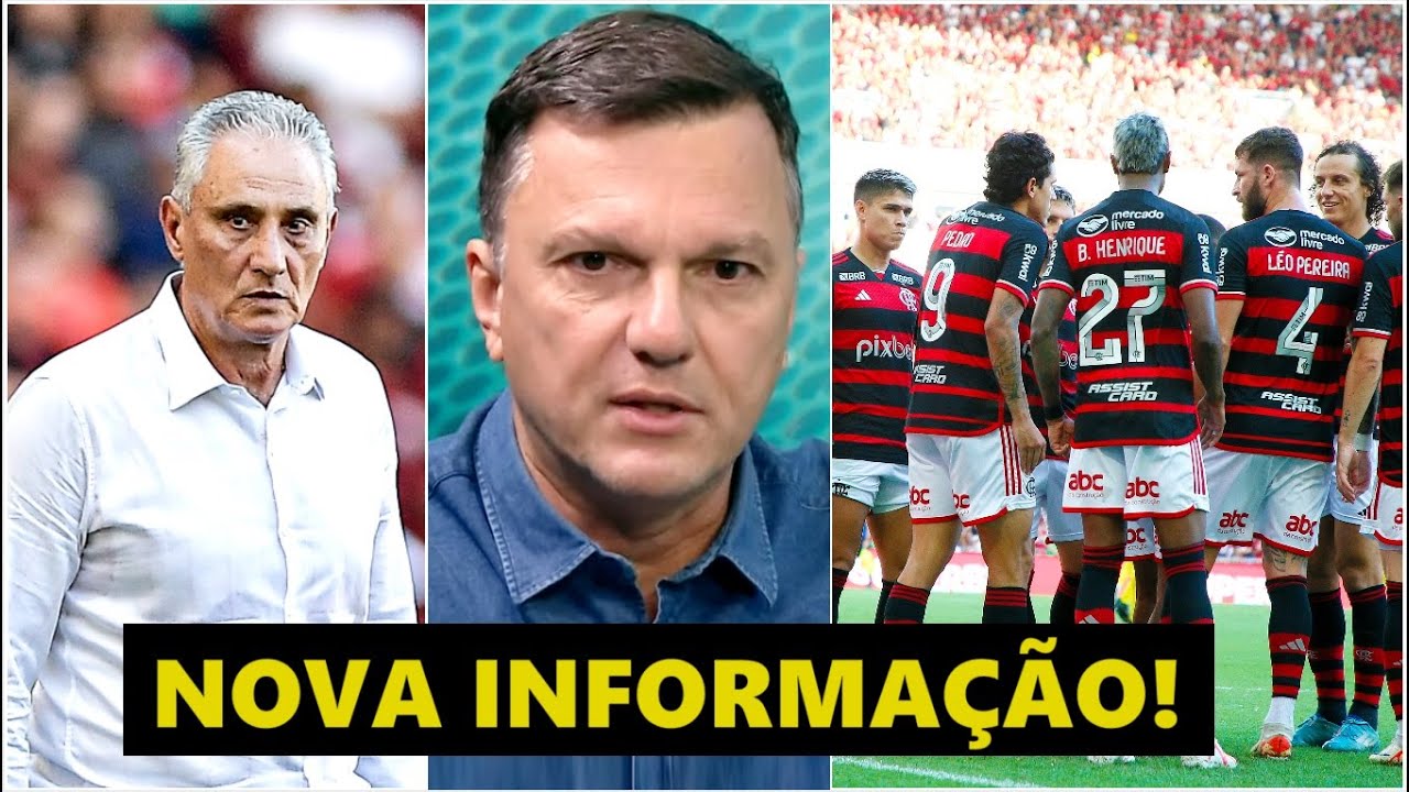 “A INFORMAÇÃO que EU APUREI é que o Flamengo VAI TENTAR A CONTRATAÇÃO de um…” Mauro Cezar FALA!