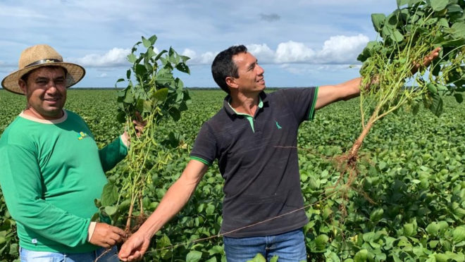 a revolução agrícola dos índios Paresí
