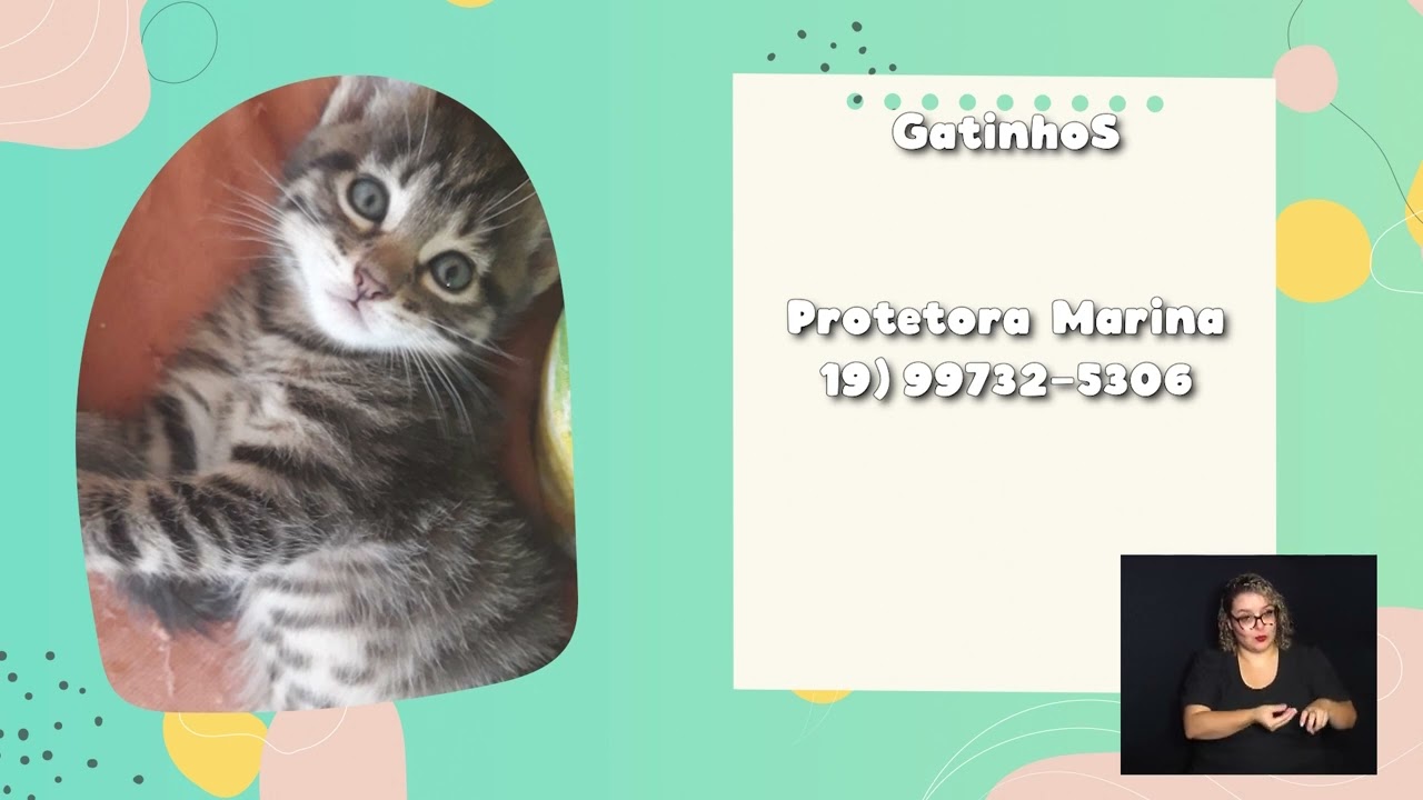 ADOTE UM BICHINHO – SEMANA DE 18 a 22 DE MARÇO 19-03-2024