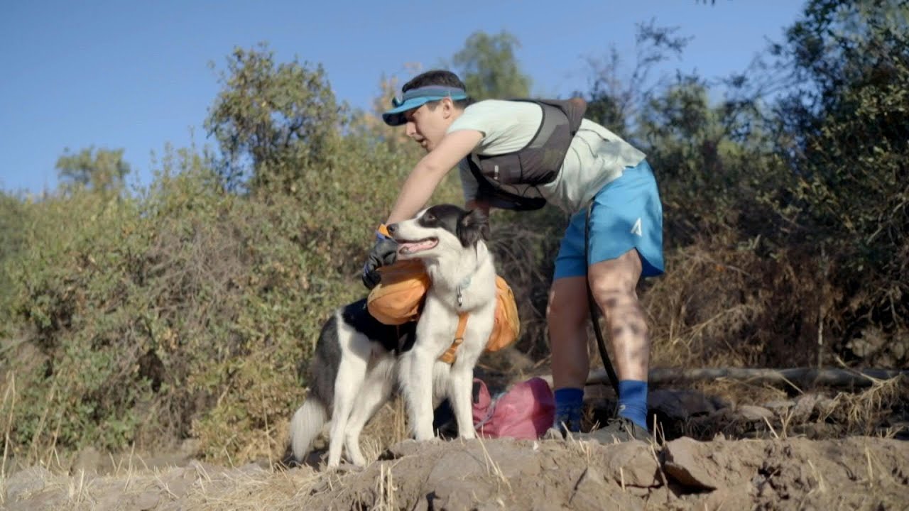 Advogado e cão impulsionam o ‘plogging’ a favor da reciclagem no Chile | AFP