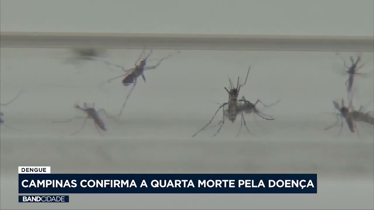 Campinas confirma a quarta morte por dengue em 2024