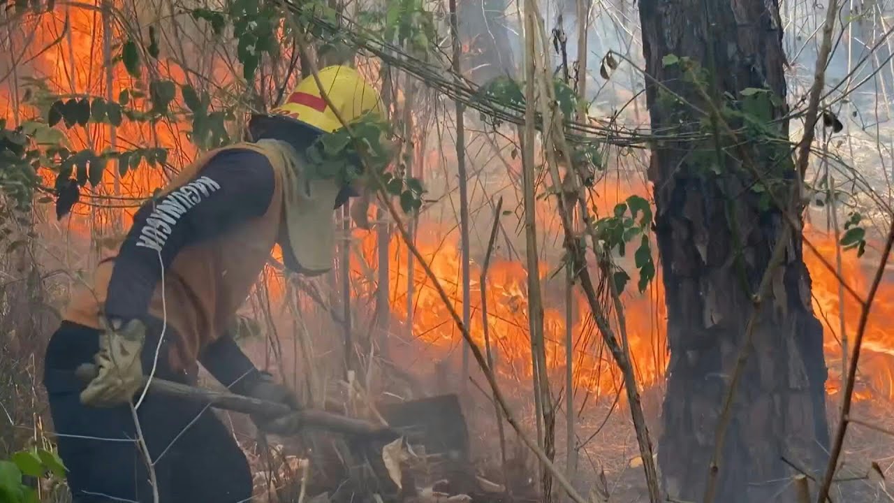Doze acusados por incêndios florestais são presos na Venezuela | AFP