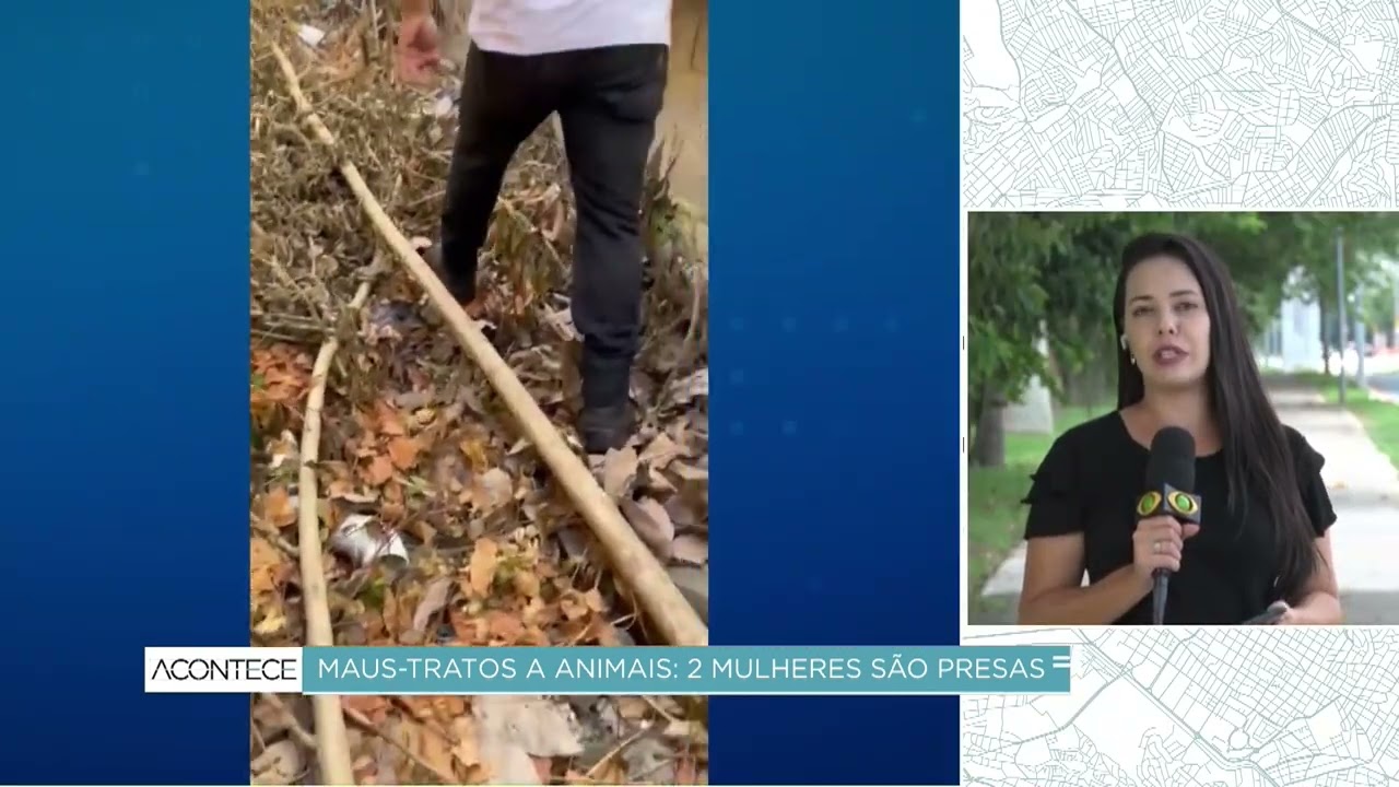 Duas mulheres são presas por maus-tratos animais em Salto