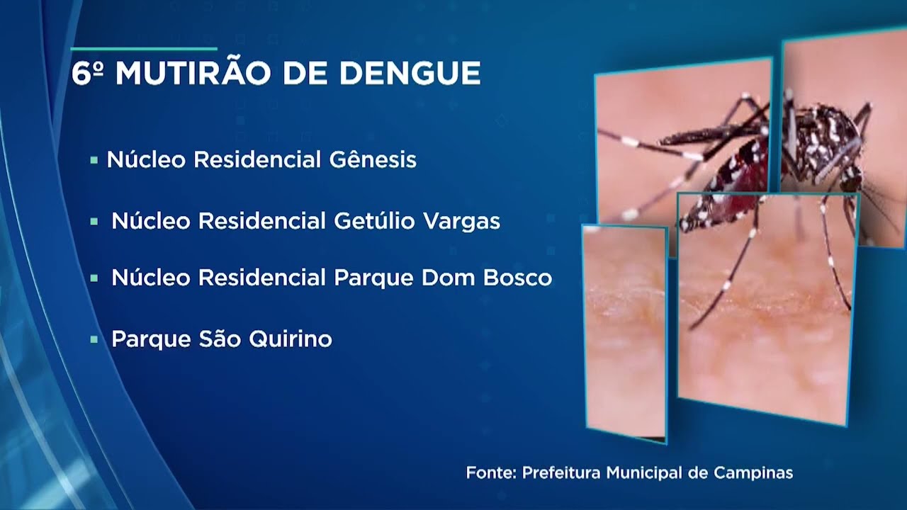 Nove bairros de Campinas recebem o 6º mutirão contra a doença neste sábado (9)