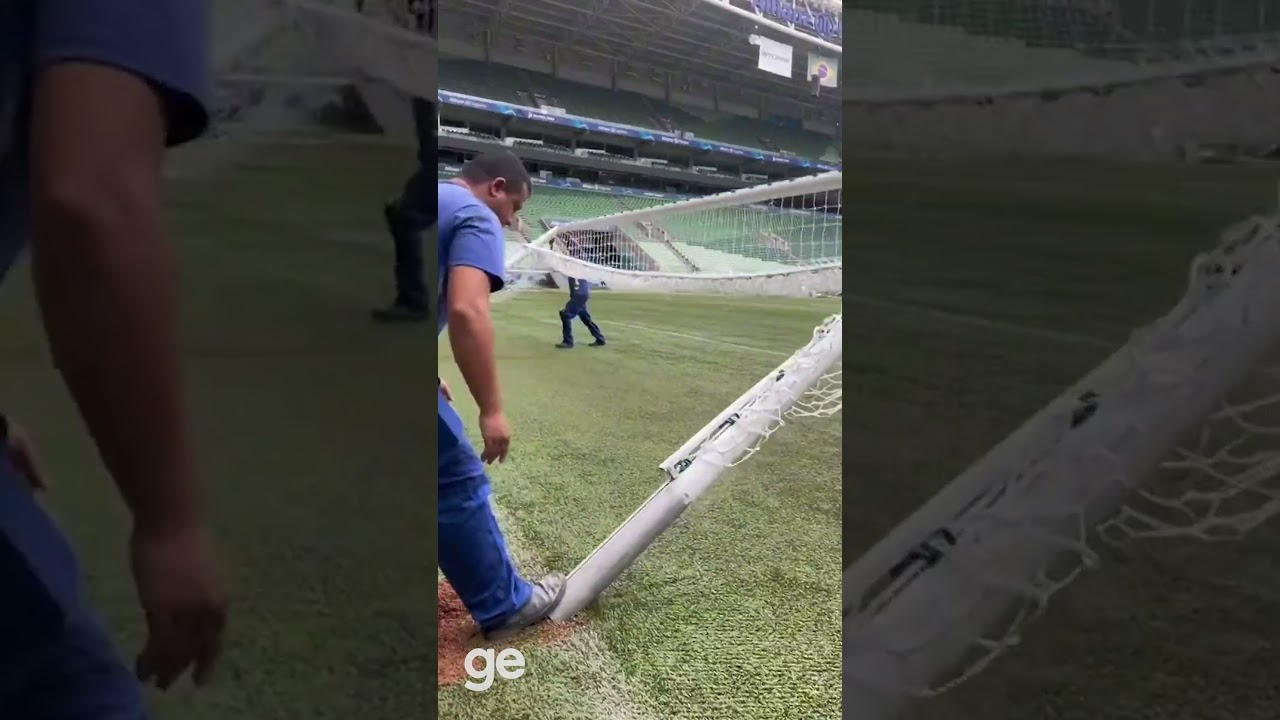 NOVO GRAMADO DO ALLIANZ PARQUE: VEJA COMO FICOU | #shorts | ge.globo