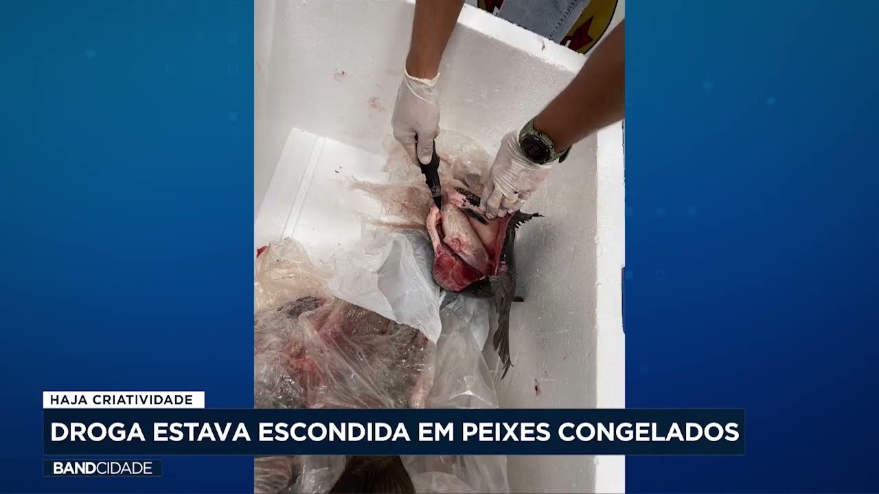 PF prende passageira em Viracopos com 5,6kg de skunk dentro de peixes congelados