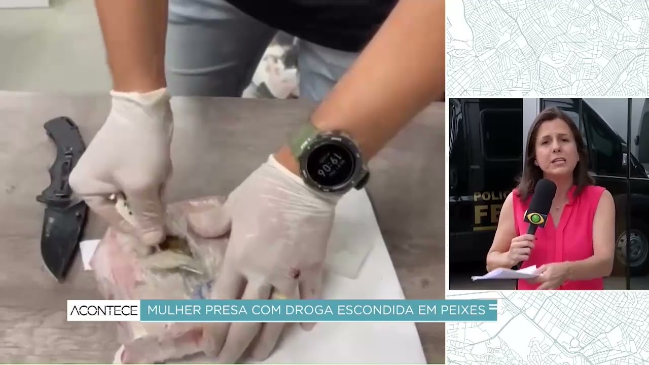 PF prende passageira em Viracopos com 5,6kg de skunk dentro de peixes congelados