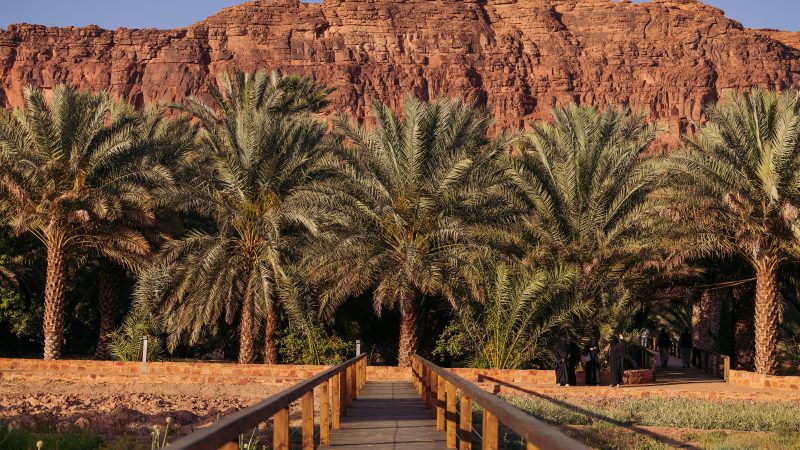 Arábia Saudita quer atrair turistas, mais proíbe álcool – 22/04/2024 – Turismo