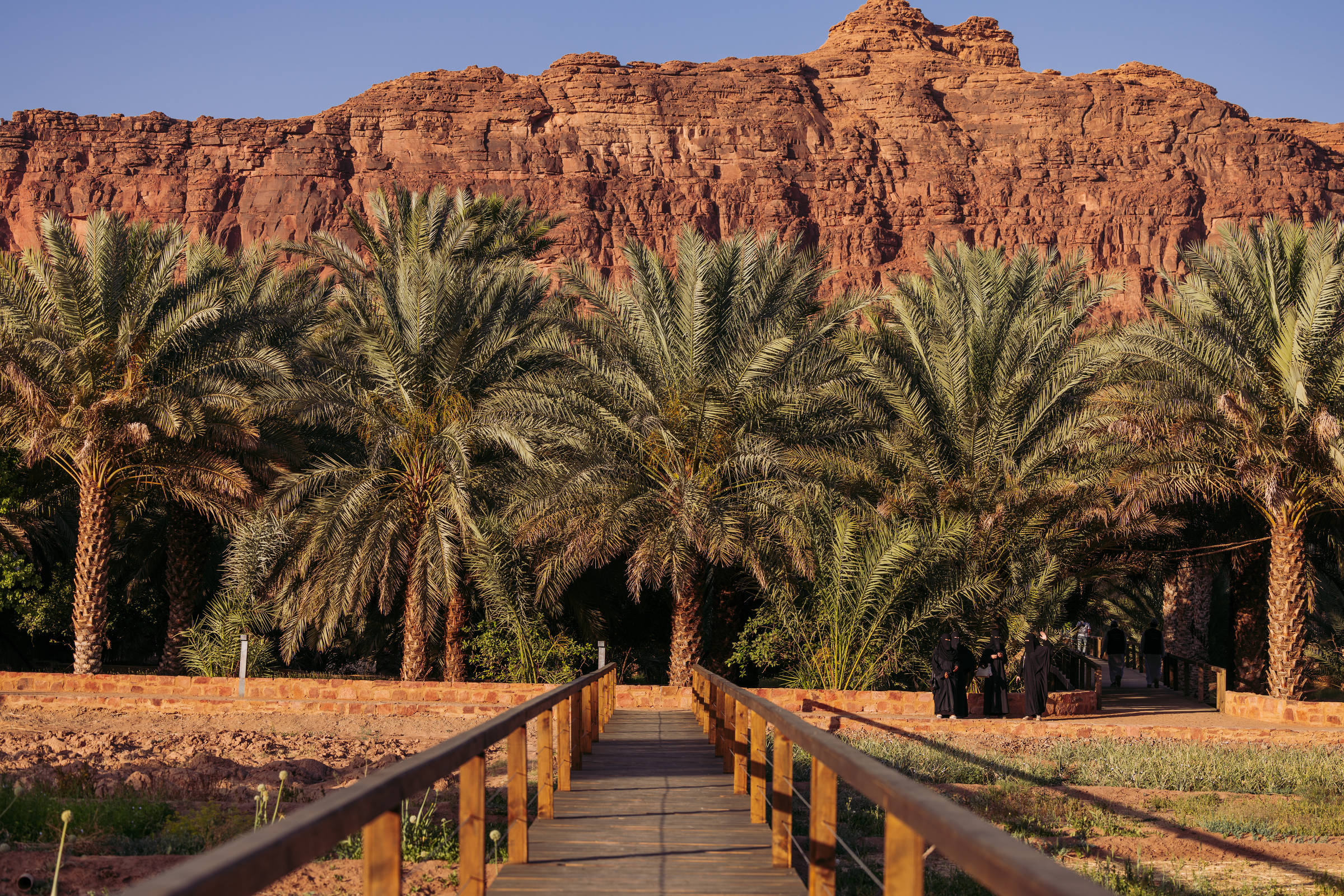 Arábia Saudita quer atrair turistas, mais proíbe álcool – 22/04/2024 – Turismo