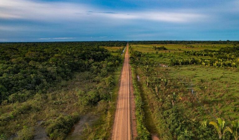 Comissão debate na quarta-feira os impactos econômicos das obras da BR-319 na Região Norte – Notícias
