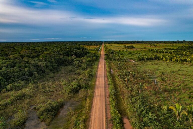 Comissão debate na quarta-feira os impactos econômicos das obras da BR-319 na Região Norte – Notícias