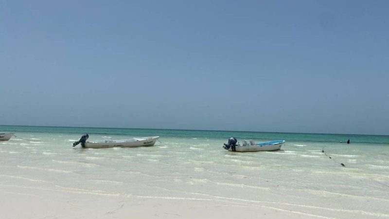 Holbox, México: conheça ilha mais barata que Cancún – 28/04/2024 – Turismo