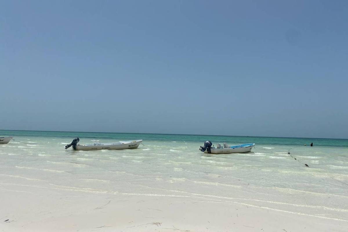 Holbox, México: conheça ilha mais barata que Cancún – 28/04/2024 – Turismo