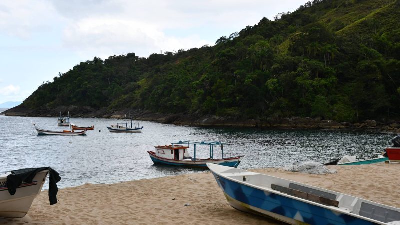 Ilhabela discute construção de resort na praia da Serraria – 02/04/2024 – Ambiente