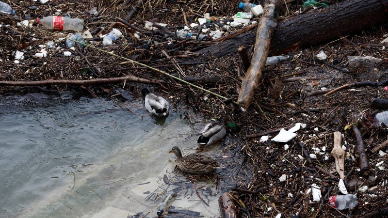 Paris-2024: ONG alerta para estado da água do rio Sena – 08/04/2024 – Esporte