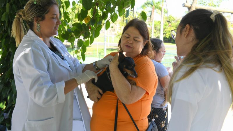 Sade de Indaiatuba e UniMAX vacinam 134 animais contra raiva no ltimo sbado