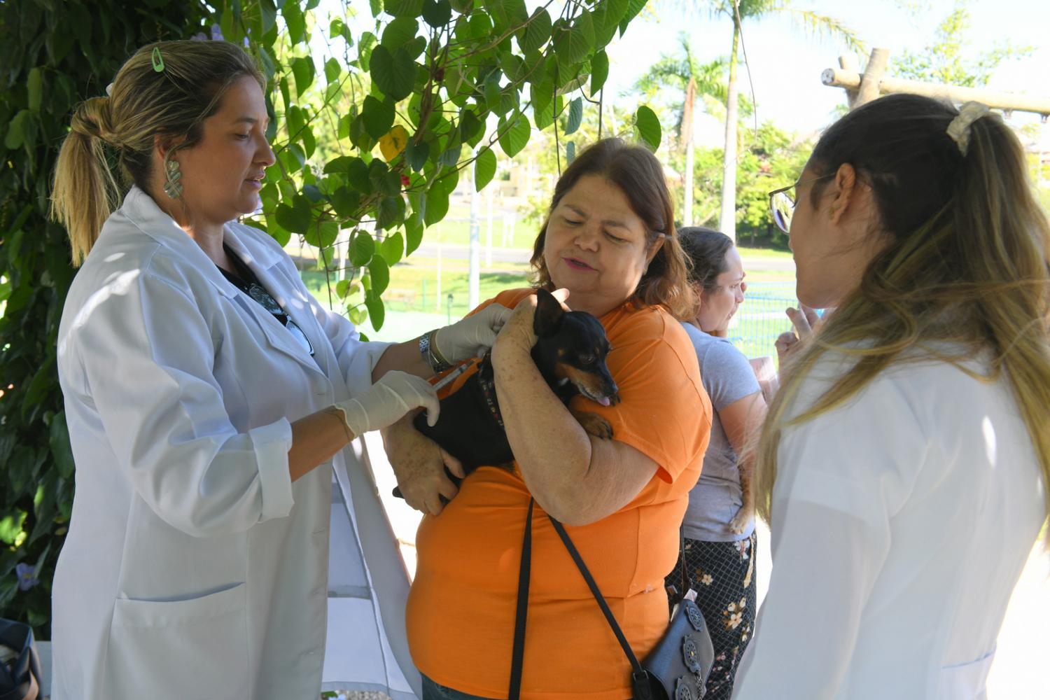 Sade de Indaiatuba e UniMAX vacinam 134 animais contra raiva no ltimo sbado