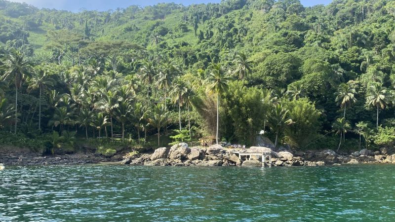 São Sebastião investe em ecoturismo e observação de baleia – 02/04/2024 – Turismo