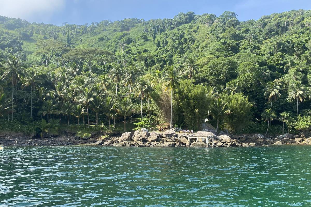 São Sebastião investe em ecoturismo e observação de baleia – 02/04/2024 – Turismo