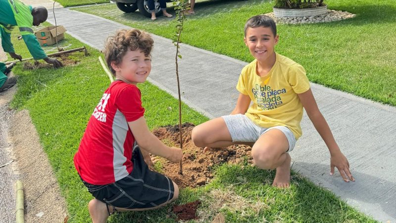 Secretaria de Servios Urbanos promove plantio do Bairro Verde no Residencial Dona Lucilla