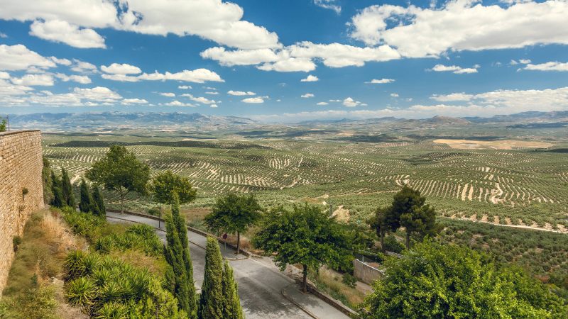Turismo do azeite: conheça Úbeda, na Espanha – 02/04/2024 – Turismo
