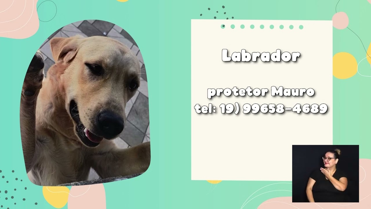 ADOTE UM BICHINHO – SEMANA DE 08 A 12 DE ABRIL 09-04-2024