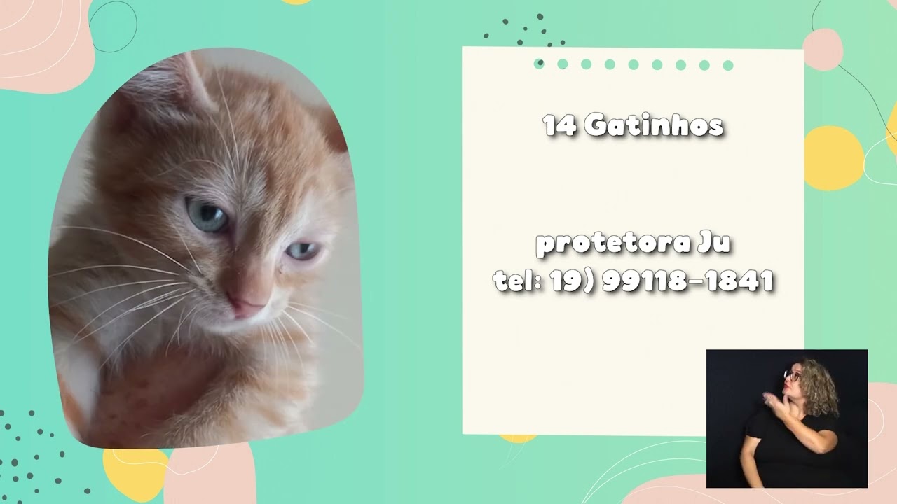 ADOTE UM BICHINHO – SEMANA DE 1º A 05 DE ABRIL 02-04-2024