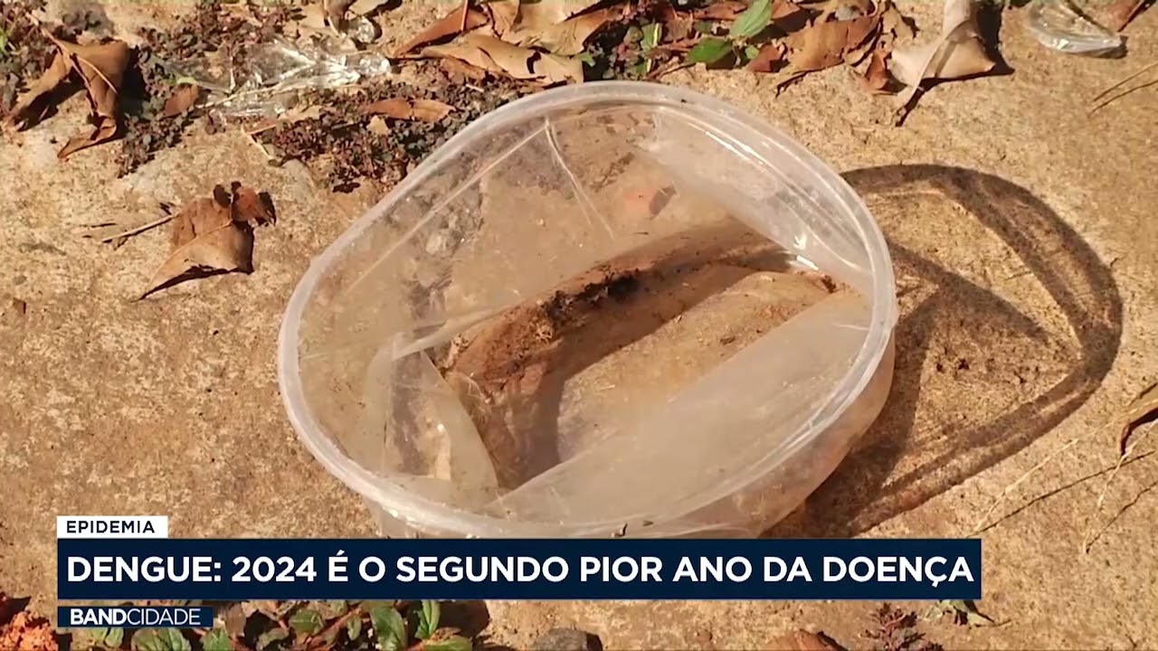 Dengue: 2024 é o segundo pior ano da doença