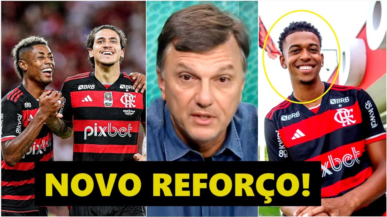 FALOU TUDO! “Se ele FIZER ISSO, PODE VIRAR um…” Mauro Cezar ANALISA NOVO REFORÇO do Flamengo!