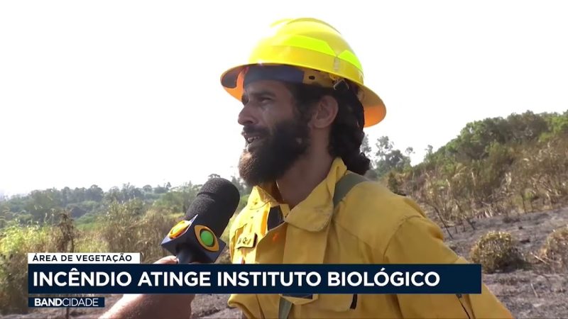 Incêndio atinge Instituto Biológico de Campinas