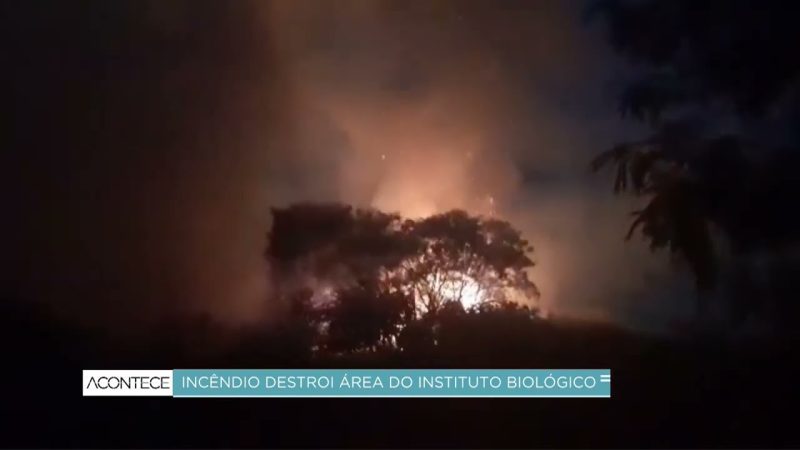 Incêndio de grandes proporções atinge Instituto Biológico de Campinas