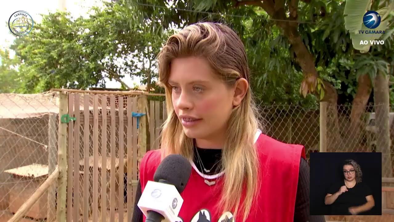 Jornal Câmara Notícia – 25/04/2024 Ao Vivo