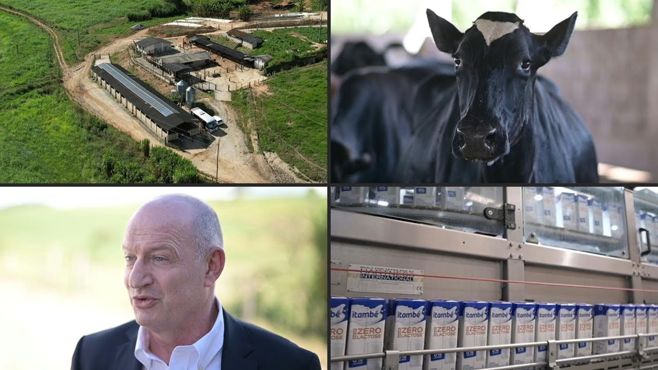 Líder mundial em laticínios, francesa Lactalis aposta no Brasil e seu enorme mercado | AFP