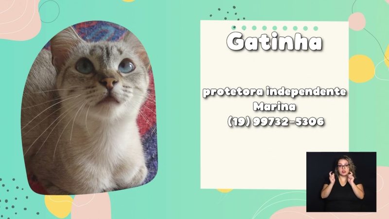 ADOTE UM BICHINHO – SEMANA 06 A 10 DE MAIO 07-05-2024