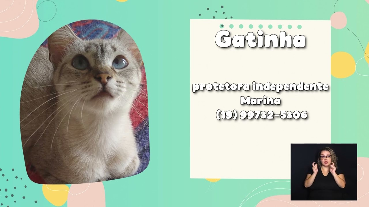 ADOTE UM BICHINHO – SEMANA 06 A 10 DE MAIO 07-05-2024