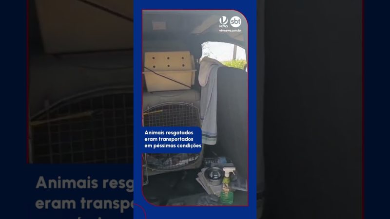 Animais resgatados eram transportados em péssimas condições em Campinas!