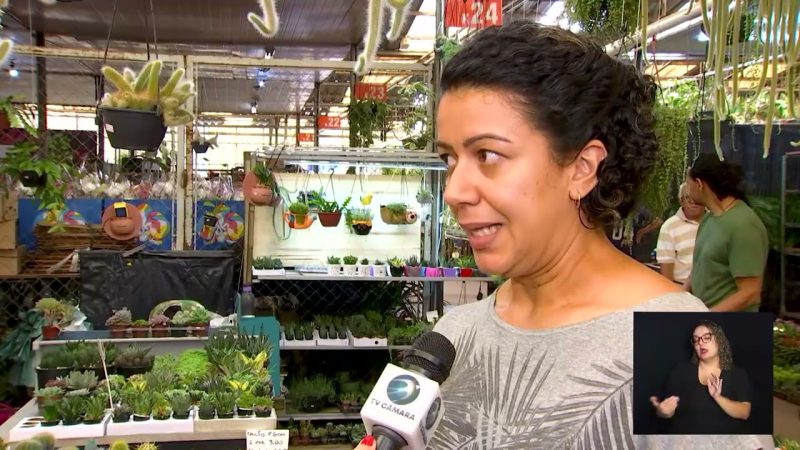 CÂMARA NOTÍCIA – DIA DAS MÃES CEASA 06-05-2024