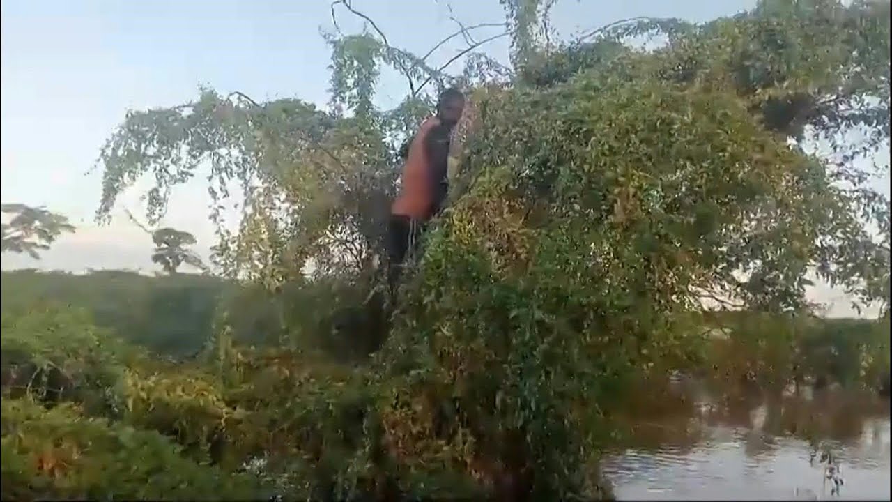 Quênia: homem é resgatado depois de três dias preso em árvore | AFP