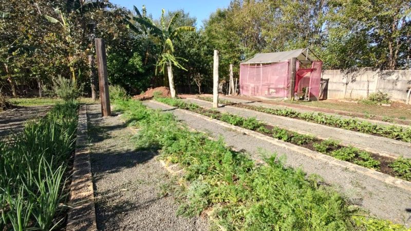 Assistência Social de Indaiatuba faz balanço das últimas colheitas do projeto Horta Solidária
