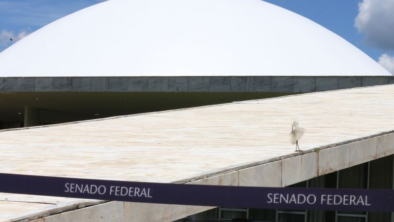 Comissão do Senado aprova tipificar crime de apologia à ditadura