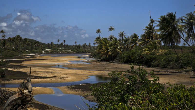 Conheça Baixio, lugar de lagoas à beira-mar na Bahia – 28/05/2024 – Turismo