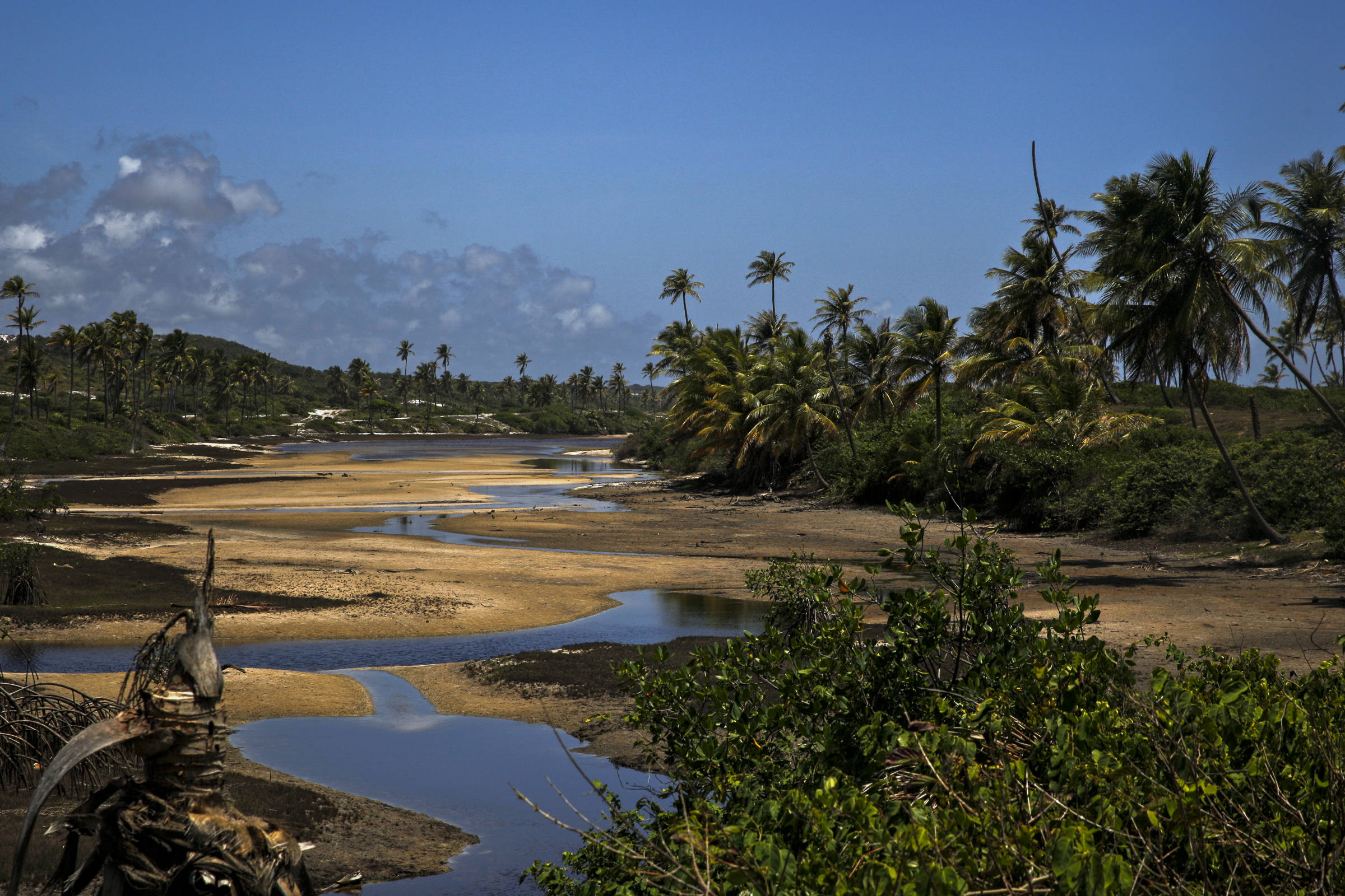 Conheça Baixio, lugar de lagoas à beira-mar na Bahia – 28/05/2024 – Turismo
