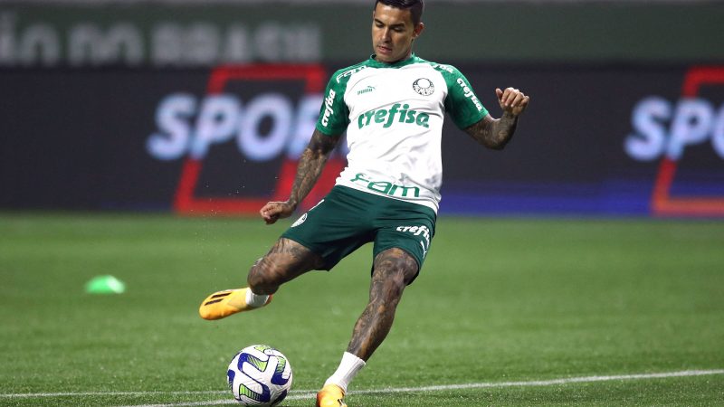 ‘Pelo Palmeiras, está vendido’, diz Leila Pereira sobre Dudu – 17/06/2024 – Esporte